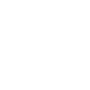 Lion head